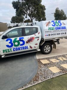 Pest Control Services by 365 Pest Control in Tarneit