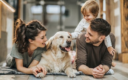 Pest Control Services by Hero Pest Control Melbourne in Narre Warren