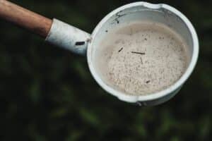 Combining Pest Control Approaches for Best Results