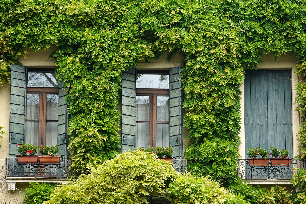 How Rodents Can Damage Your Home