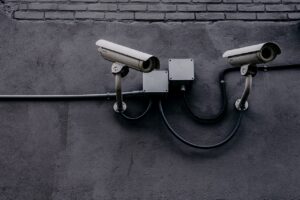 The Role of Monitoring in Pest Control